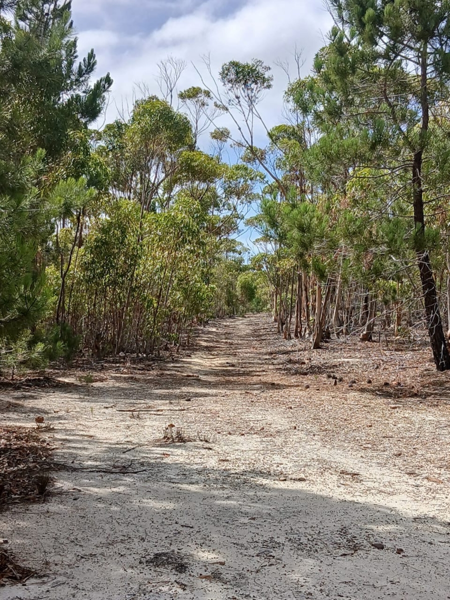 0 Bedroom Property for Sale in Napier Western Cape